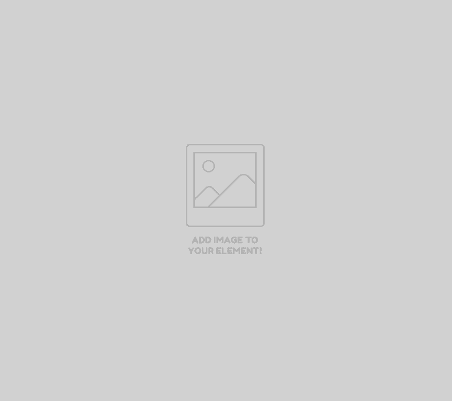 Reliable Bounce House Rental Company Bounce House Rentals, Delaware Home 2