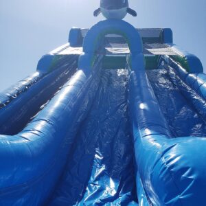 Bounce house rentals